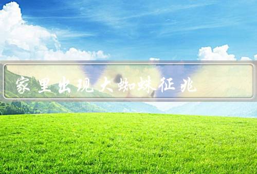 家里出现大蜘蛛征兆，大蜘蛛的出现／压力的积累／释放压力