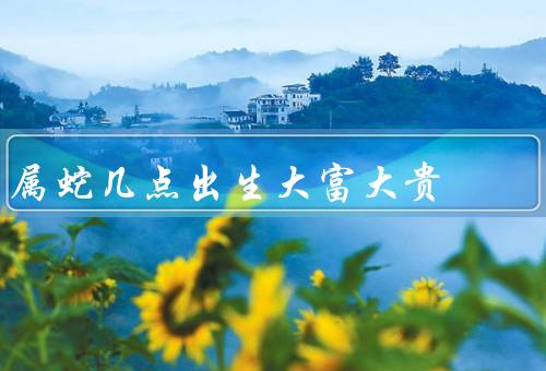 属蛇几点出生大富大贵，事业有成／财富累积／人脉广泛