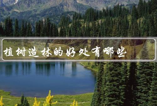 植树造林的好处有哪些，改善环境、维护生态平衡、提升生活质量