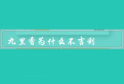 九里香为什么不吉利，寓意、形状、传说