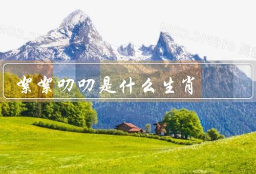 絮絮叨叨是什么生肖，什么生肖／特点／如何应对