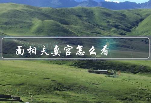 面相夫妻宫怎么看（基本原理、与夫妻关系、应用价值）