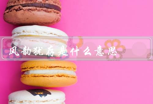 风韵犹存是什么意思，人／事物／意义