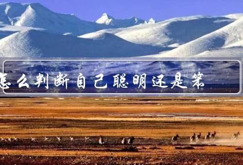 怎么判断自己聪明还是笨，智力测验、学习能力、问题解决能力
