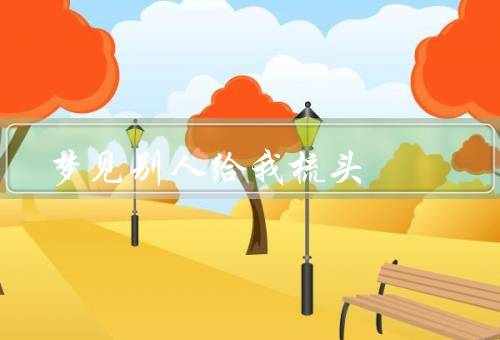 梦见别人给我梳头，梳头的人是谁？／为什么会梦见别人给我梳头？