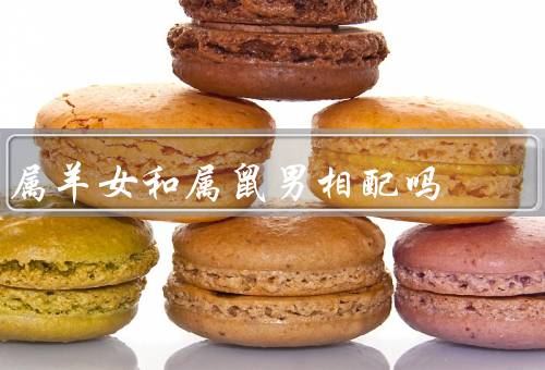 属羊女和属鼠男相配吗，性格特点／相处模式／感情发展