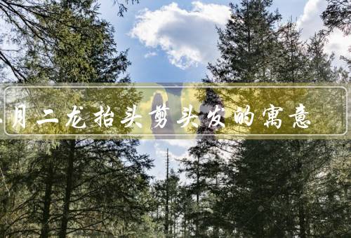 二月二龙抬头剪头发的寓意（喜迎新年／祛除厄运／祈求好运）