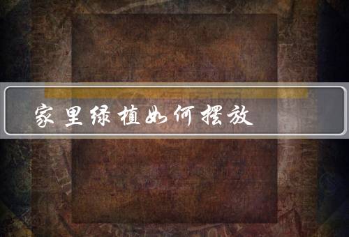 家里绿植如何摆放风水（摆放位置、数量和种类、养护）