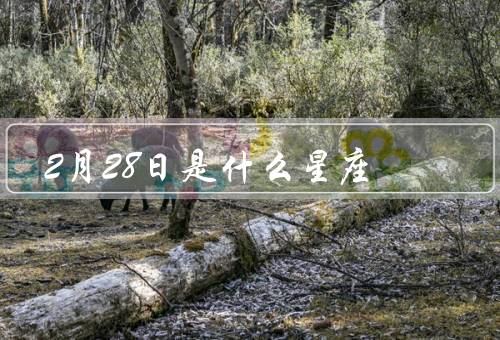 2月28日是什么星座（特点／爱情观／职业选择）